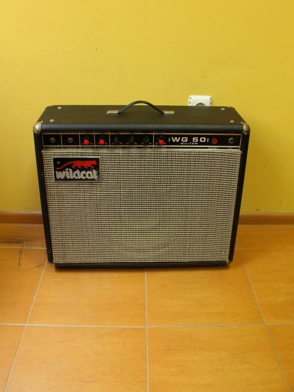 Wildcat WG50 Guitar Combo